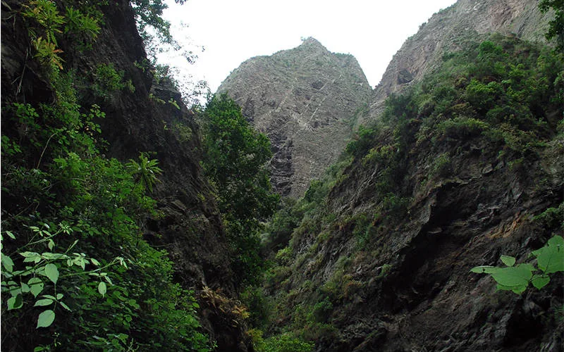 Barranco de Badajoz en Tenerife 巴達霍斯的山溝