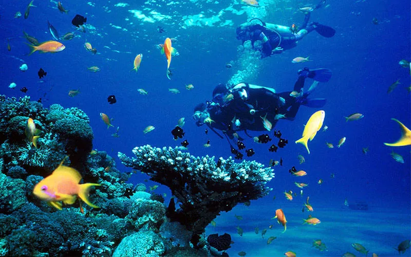 大加那利島（加那利群島）Gran Canaria (Canarias)