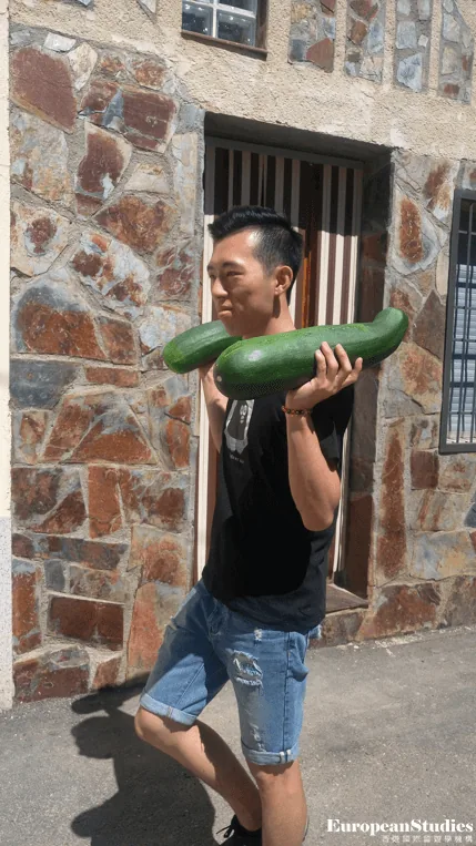 男性拿蔬菜在石牆前