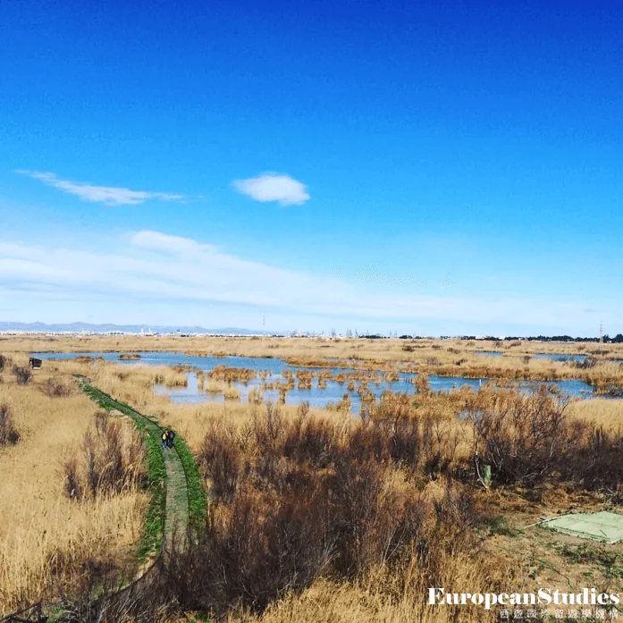 Albufera