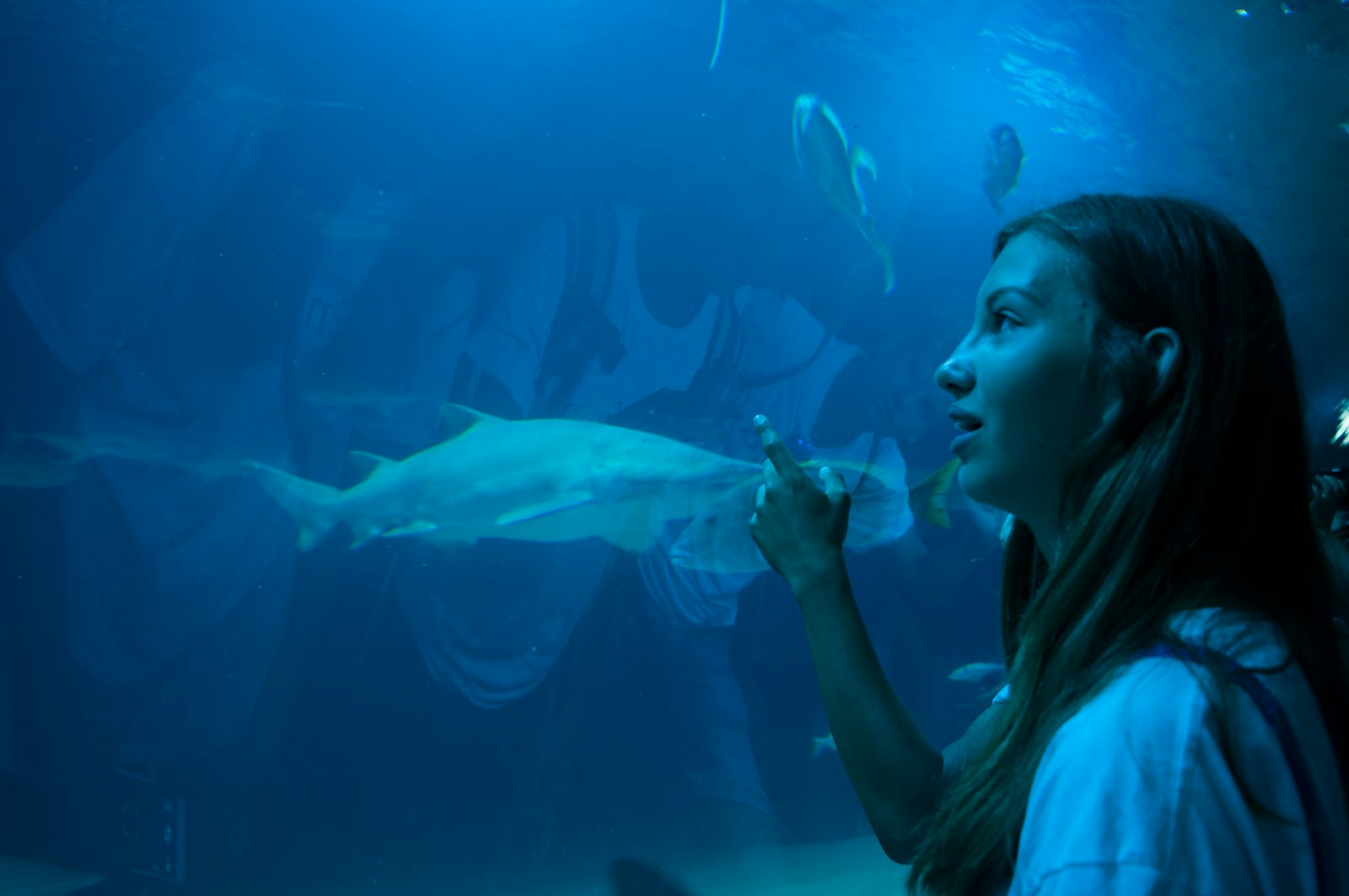 Enforex 阿利坎特夏令營營員參觀水族館