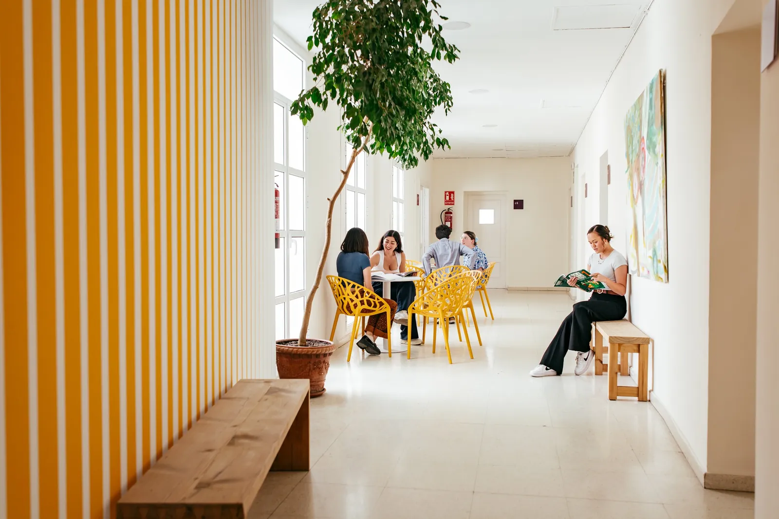 CLIC IH Sevilla 語言學校 校園照片 6